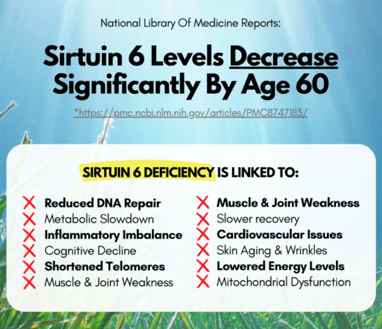 sirt6 levels decrease
