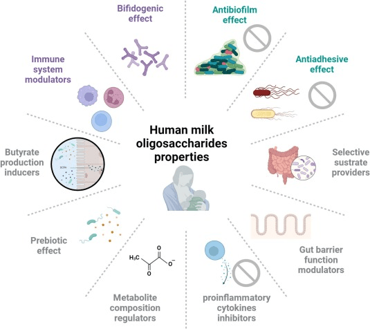 hmo properties aging